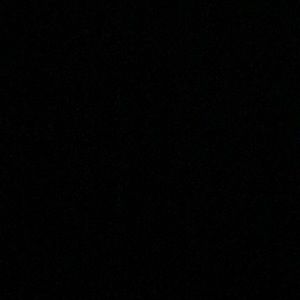 Meet your Posher, Lou